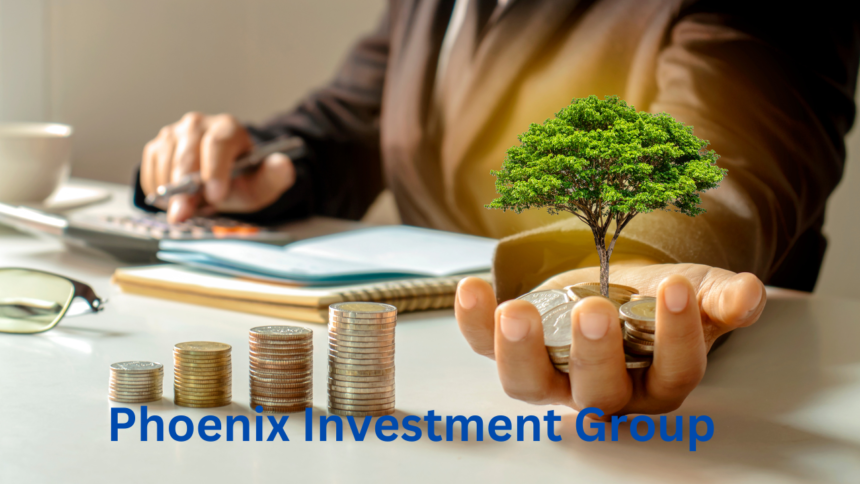 Phoenix investment group